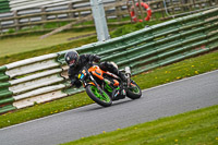 Middle Group Orange Bikes